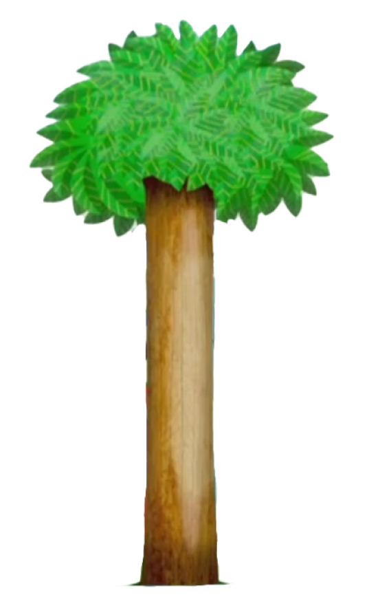 Arbol